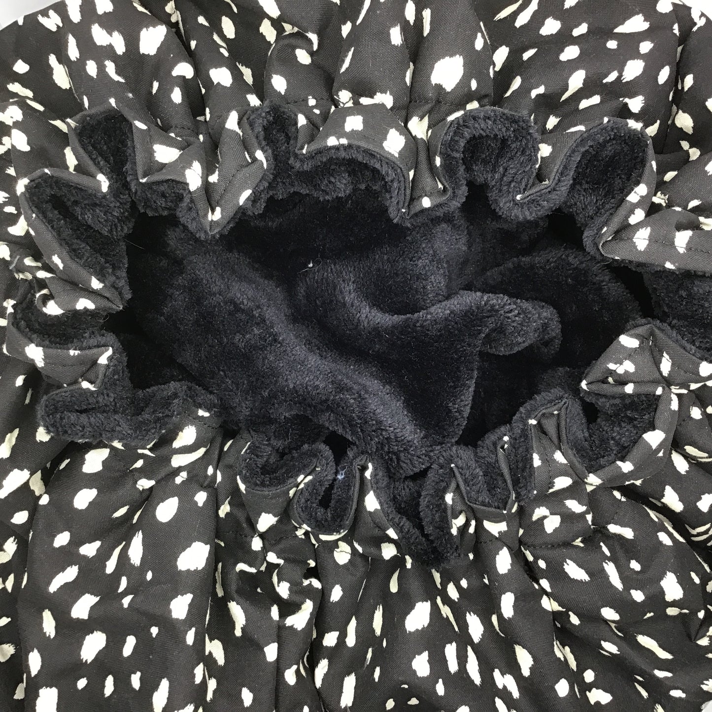 Black Dotty - Winter Burrow