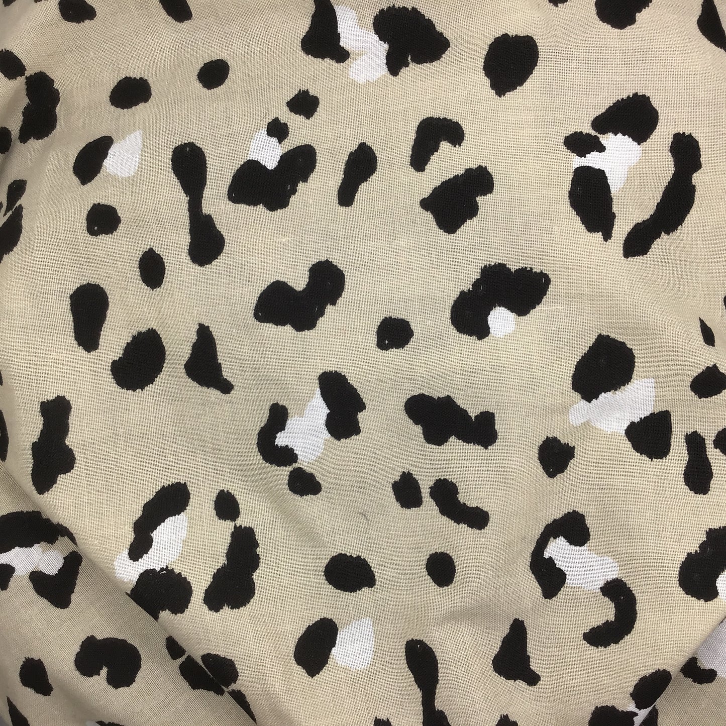 Leopard Spots - Winter Burrow