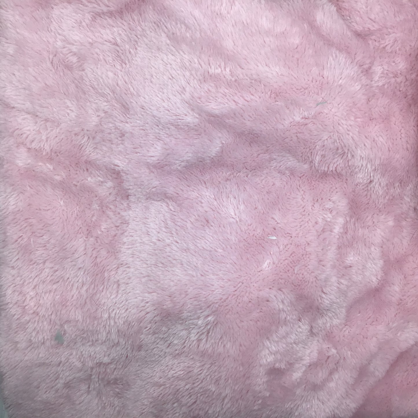 Soft Pinks with lolly pink inner - Winter Burrow