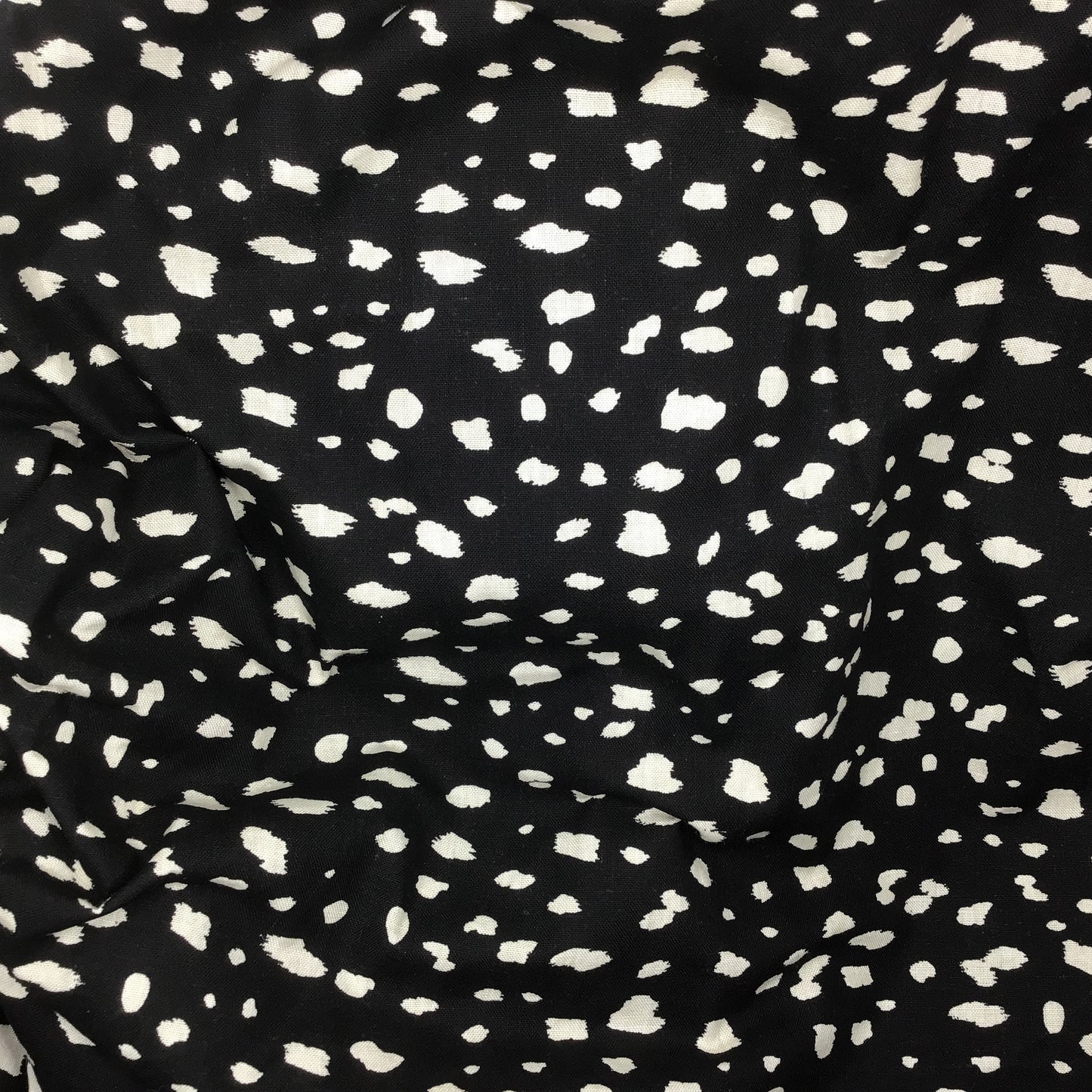 Black Dotty - Winter Burrow