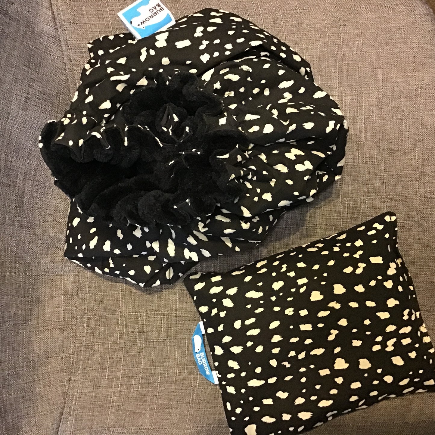 Black Dotty - Winter Burrow