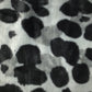 Leopard Spots - Winter Burrow