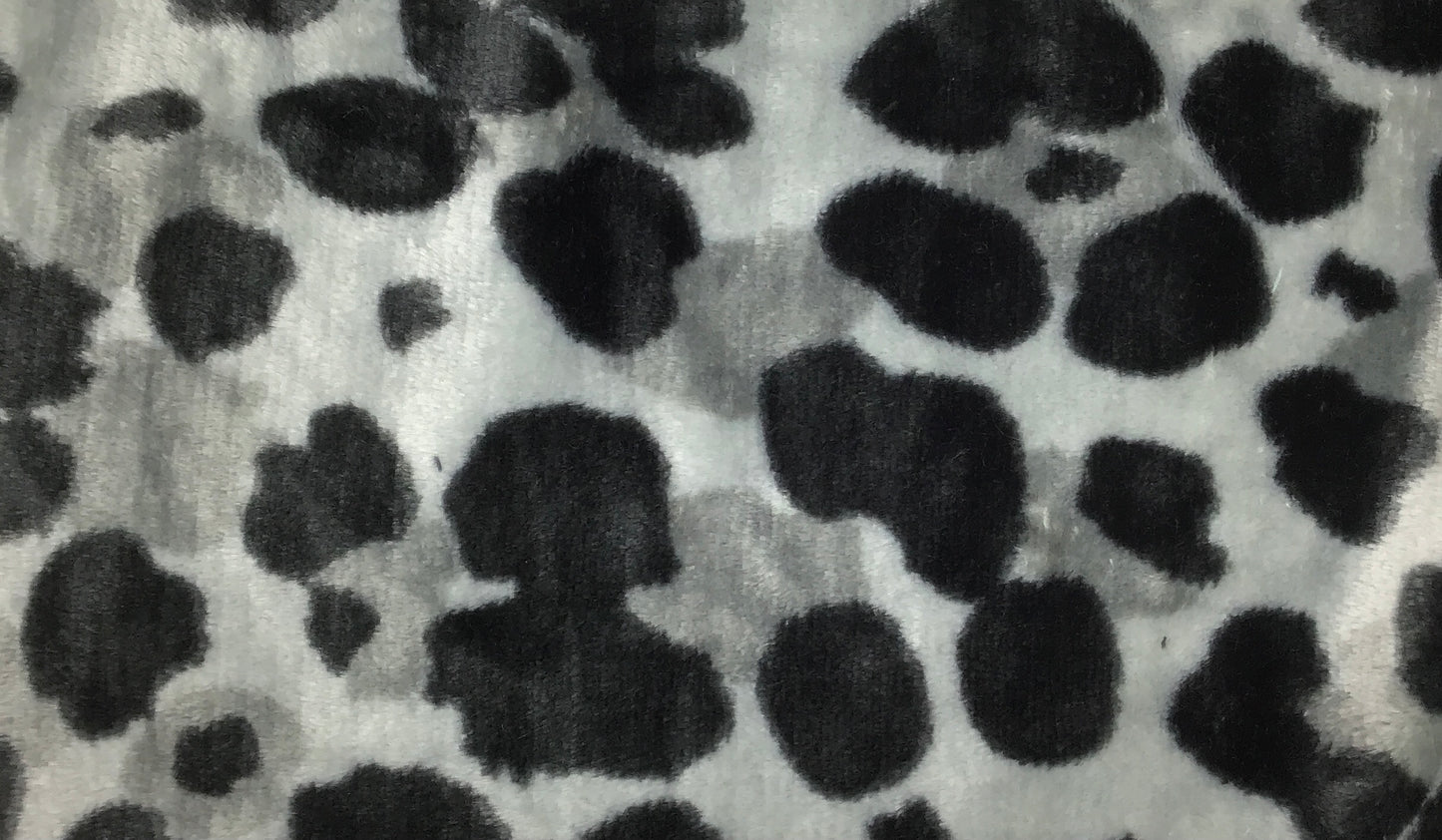 Leopard Spots - Winter Burrow