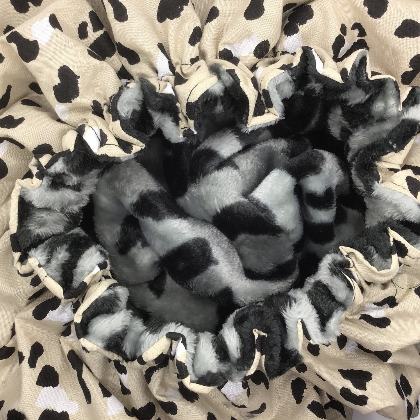 Leopard Spots - Winter Burrow